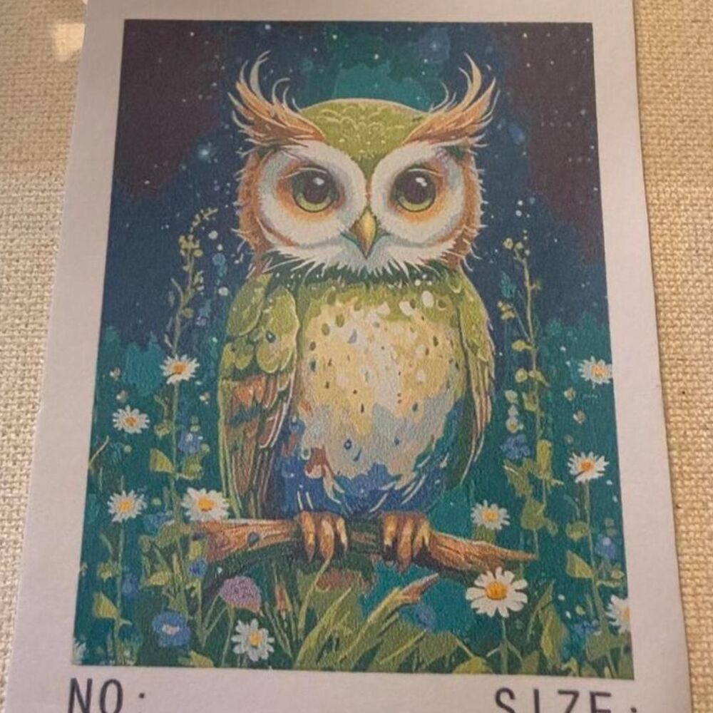 Paint By Numbers Owl painting kit